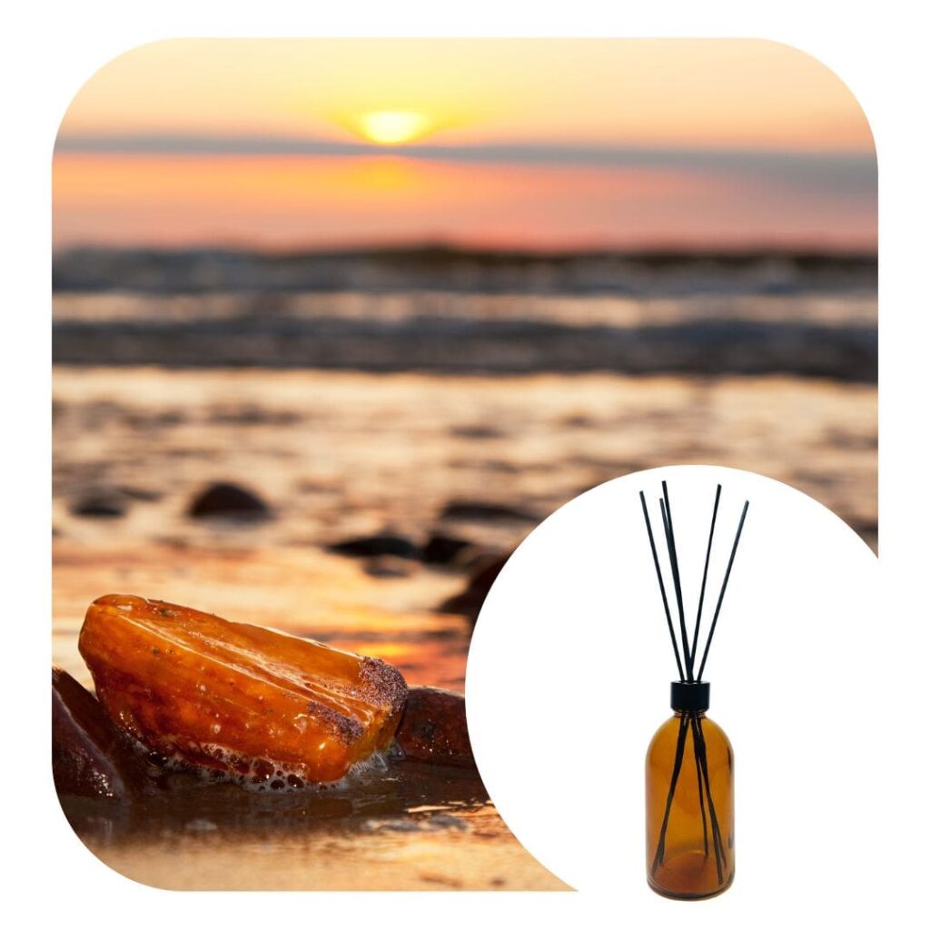 Boston Amber Diffuser + Brown Sugar and Fig Fragrance