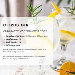 Citrus gin fragrance candle and soap making diffuser oil