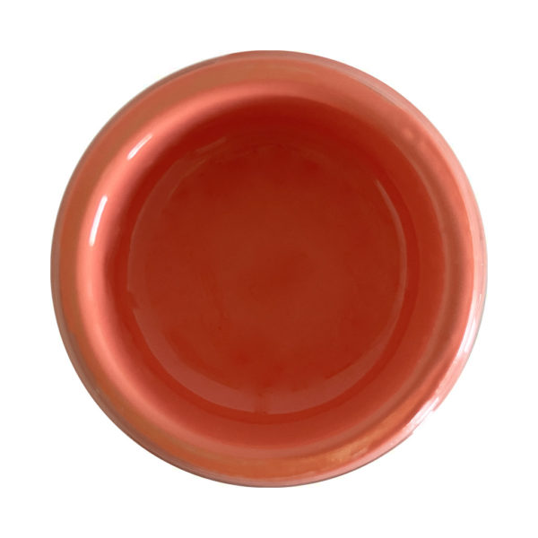 Coral Opaque Resin Pigment1 Coral Opaque Pigment Epoxy and Polyester Resin Art Coating and Casting