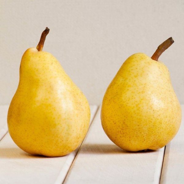 French Pear (1) French Pear Candle Fragrance Diffuser Oil