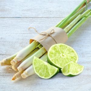 Lime and Lemongrass Candle Diffuser Fragrances Citrus Bright Candle and Soap Making Diffuser Oil
