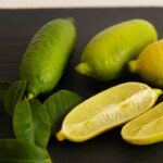 Native Wild Lime Fragrance Oil, candle makers, reed diffusers, soap and bath bombs