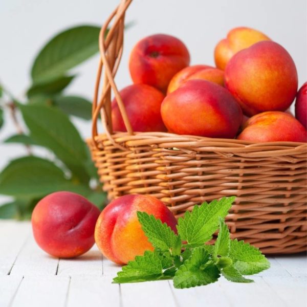 Nectarine and Mint, Fragrance Oil Candle Making and Reed Diffusers, Home Fragrance, Vegan Friendly, Australian Made