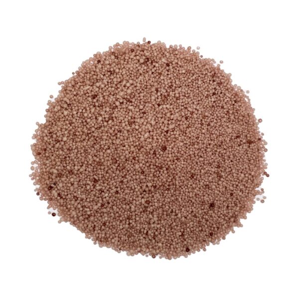 Sand Wax Latte