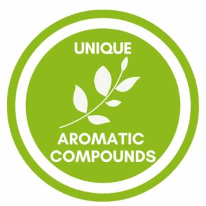 Unique aromatic compounds, essential oils