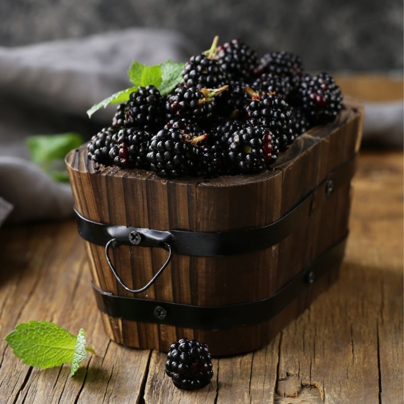 Black Raspberry Fragrance - Adelaide Moulding & Candle Supplies