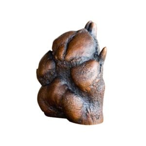 Lifecating Pet's Paw Casting Kit