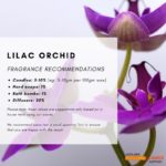 lilac-orchid-fragrance-2