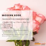modern-rose-fragrance-2